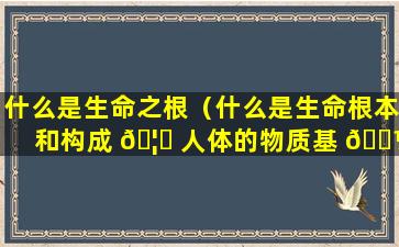 什么是生命之根（什么是生命根本和构成 🦄 人体的物质基 🐼 础）